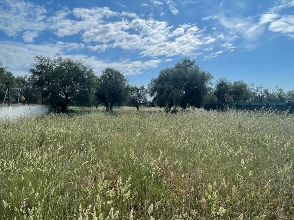 casa indipendente in vendita a Mosciano Sant'Angelo in zona Convento