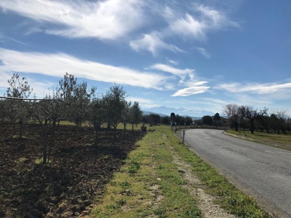terreno agricolo in vendita a Mosciano Sant'Angelo