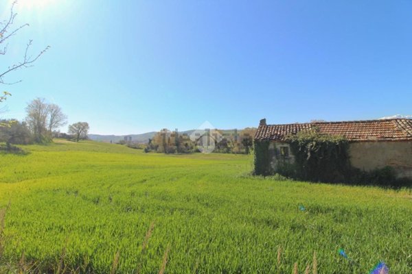 terreno agricolo in vendita a Mosciano Sant'Angelo