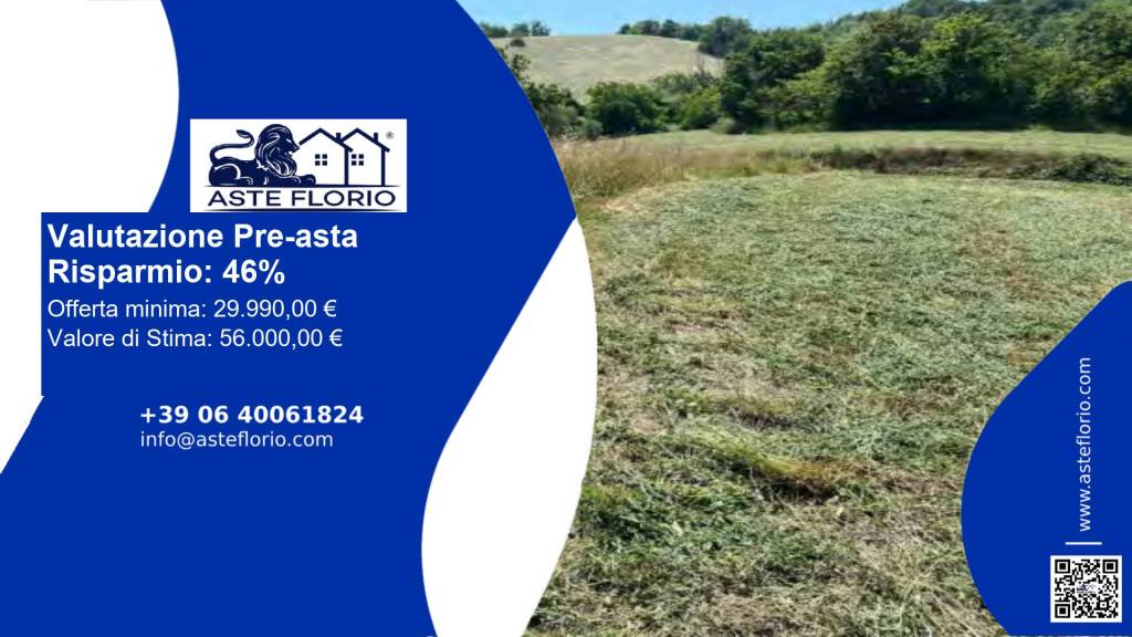 terreno agricolo in vendita a Mosciano Sant'Angelo