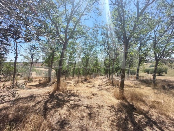 appartamento in vendita a Mosciano Sant'Angelo