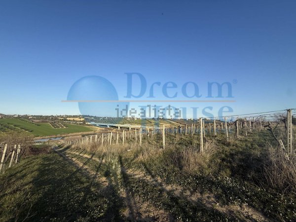 terreno in vendita a Mosciano Sant'Angelo