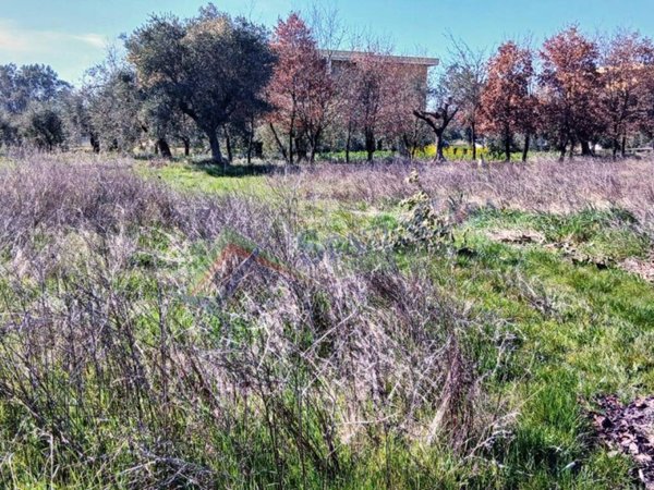 terreno edificabile in vendita a Mosciano Sant'Angelo