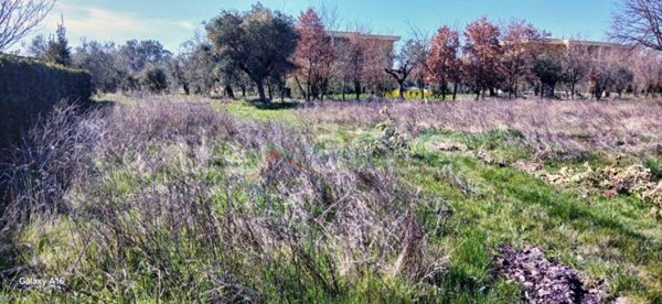casa indipendente in vendita a Mosciano Sant'Angelo