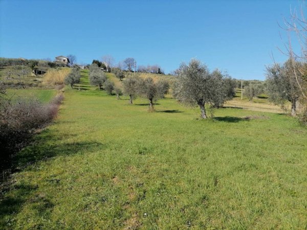 casa indipendente in vendita a Mosciano Sant'Angelo