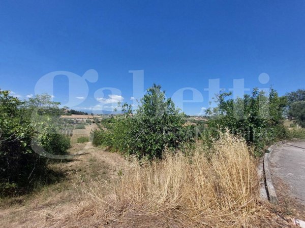 casa indipendente in vendita a Mosciano Sant'Angelo