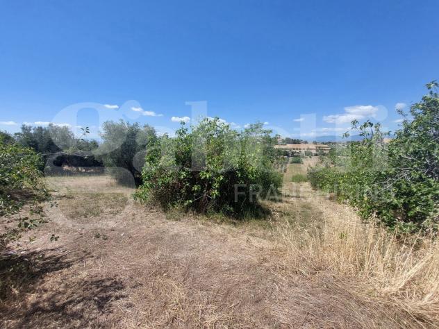 casa indipendente in vendita a Mosciano Sant'Angelo