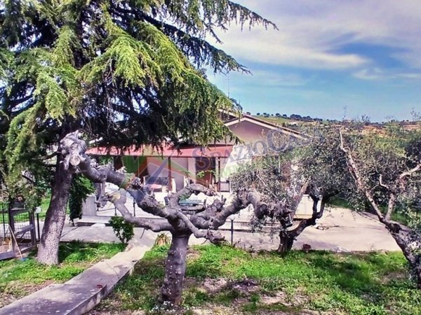 casa indipendente in vendita a Mosciano Sant'Angelo in zona Montone