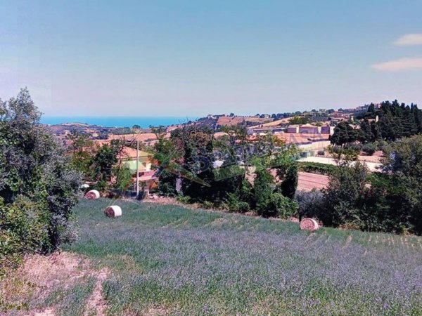 terreno agricolo in vendita a Mosciano Sant'Angelo in zona Convento