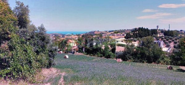 terreno agricolo in vendita a Mosciano Sant'Angelo in zona Convento