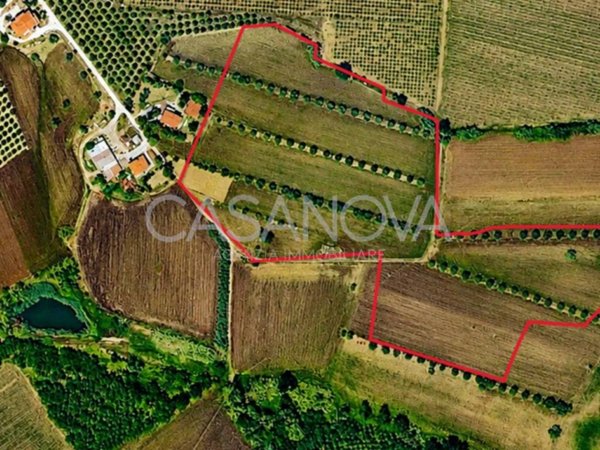 terreno agricolo in vendita a Mosciano Sant'Angelo in zona Convento
