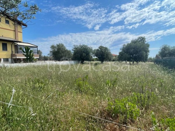 terreno agricolo in vendita a Mosciano Sant'Angelo