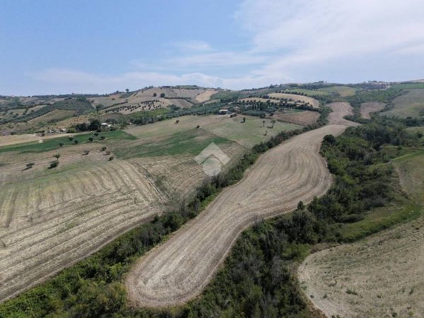 terreno agricolo in vendita a Mosciano Sant'Angelo