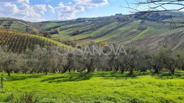 casale in vendita a Mosciano Sant'Angelo in zona Santa Filomena