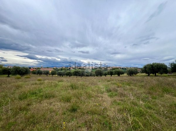 terreno in vendita a Mosciano Sant'Angelo