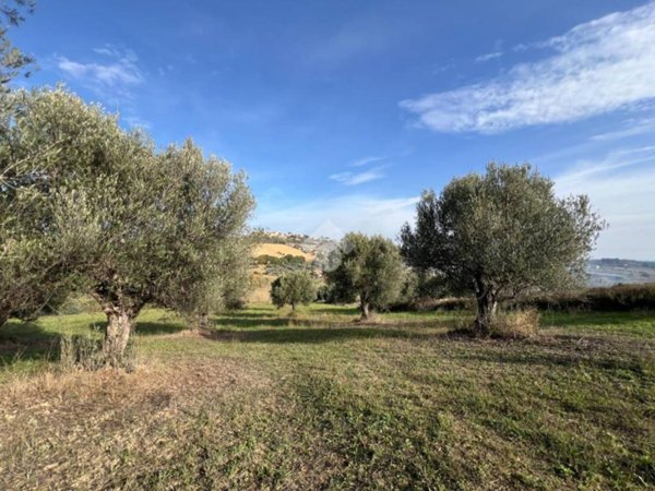 terreno in vendita a Mosciano Sant'Angelo