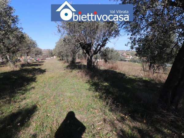 terreno agricolo in vendita a Nereto in zona Parignano