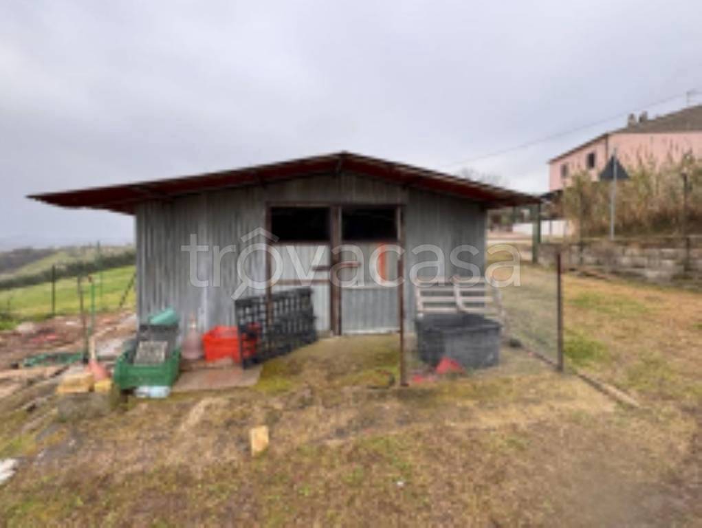 casa indipendente in vendita a Nereto in zona San Savino