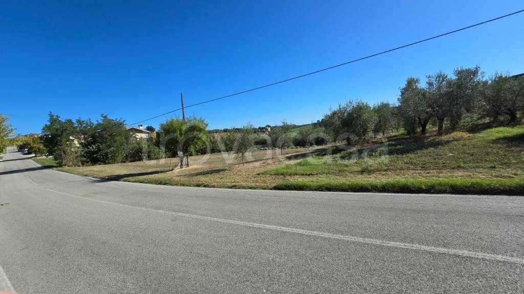 terreno agricolo in vendita a Nereto
