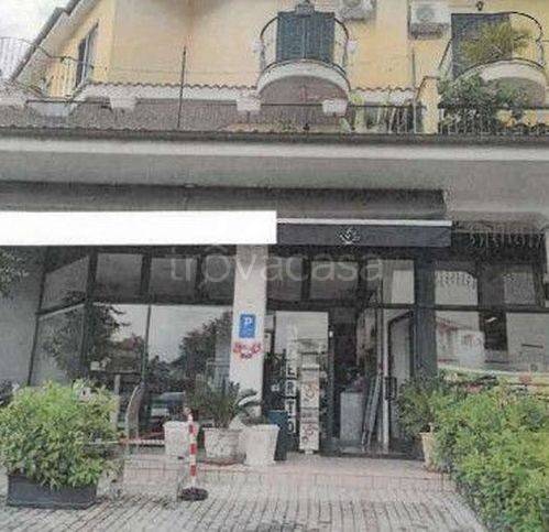 negozio in vendita a Nereto