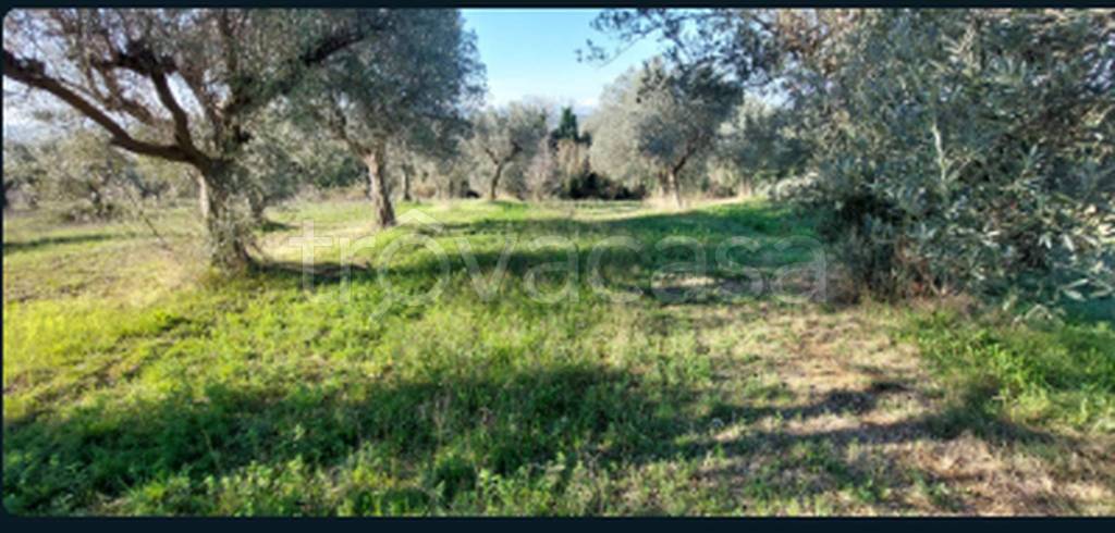 terreno edificabile in vendita a Nereto