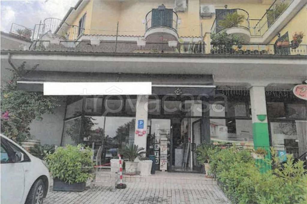 negozio in vendita a Nereto