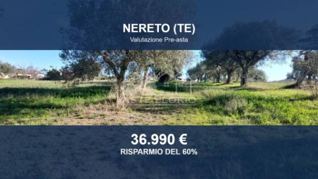 terreno agricolo in vendita a Nereto