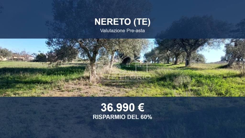 terreno agricolo in vendita a Nereto