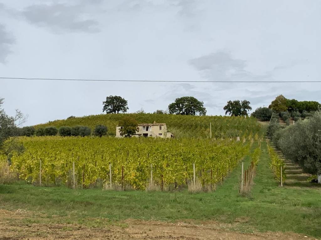 terreno in vendita a Nereto in zona San Savino