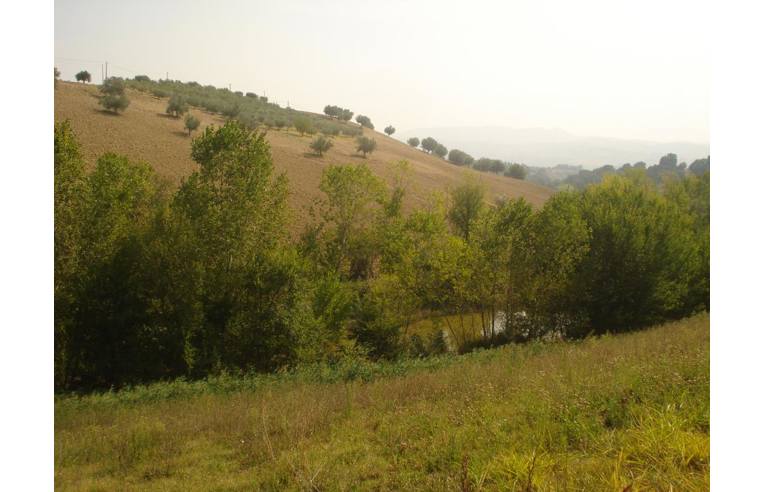 negozio in vendita a Notaresco