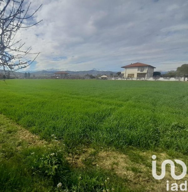 terreno agricolo in vendita a Notaresco