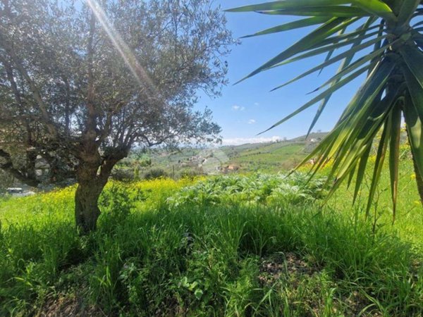 terreno edificabile in vendita a Notaresco