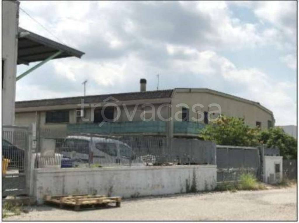 locale commerciale in vendita a Notaresco