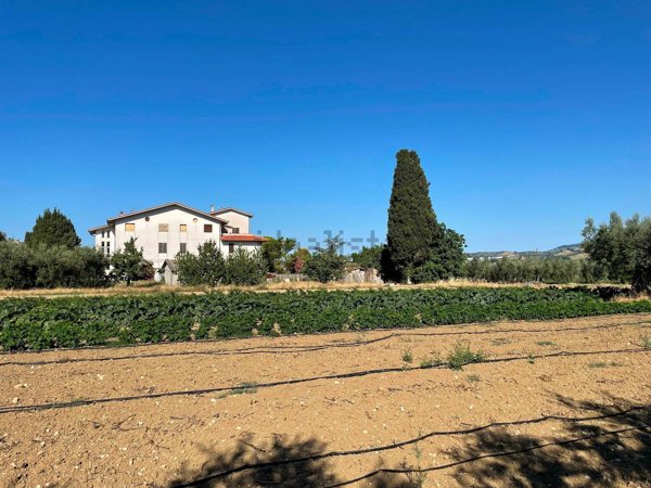 pentavano in vendita a Notaresco in zona Pianura Vomano