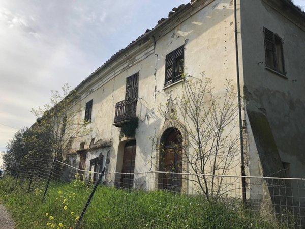 esavano in vendita a Notaresco in zona Grasciano