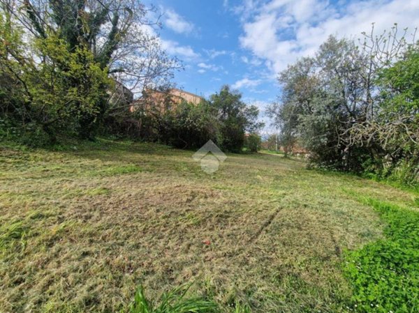 terreno agricolo in vendita a Notaresco