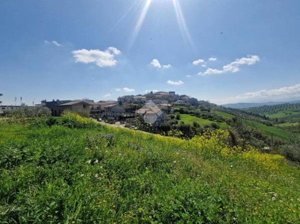 casa indipendente in vendita a Notaresco
