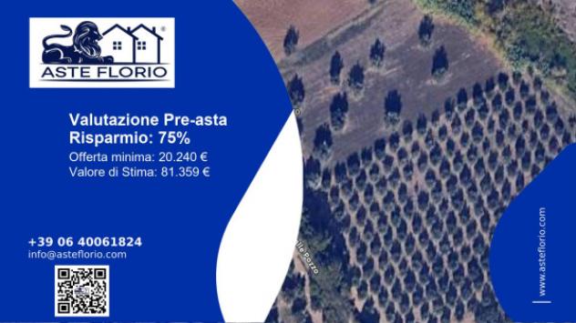 terreno agricolo in vendita a Notaresco