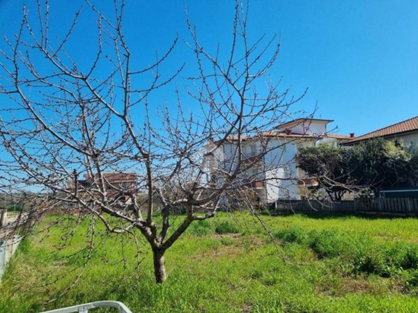 terreno agricolo in vendita a Notaresco