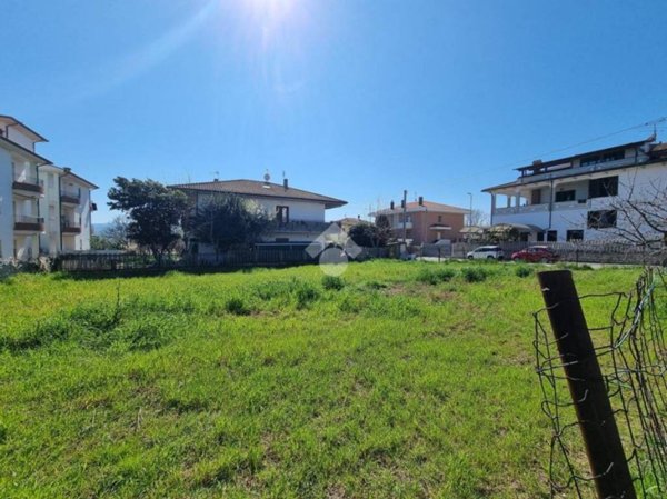 terreno agricolo in vendita a Notaresco