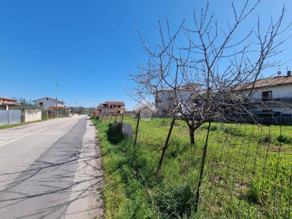 terreno agricolo in vendita a Notaresco in zona Pianura Vomano