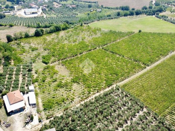 terreno agricolo in vendita a Notaresco