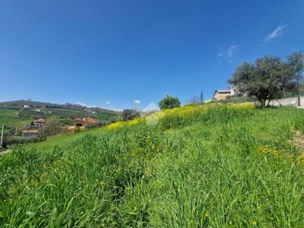 terreno edificabile in vendita a Notaresco
