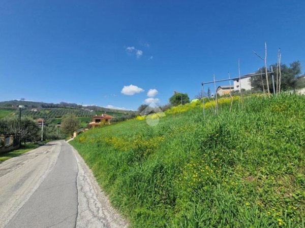 terreno agricolo in vendita a Notaresco in zona Pianura di Notaresco