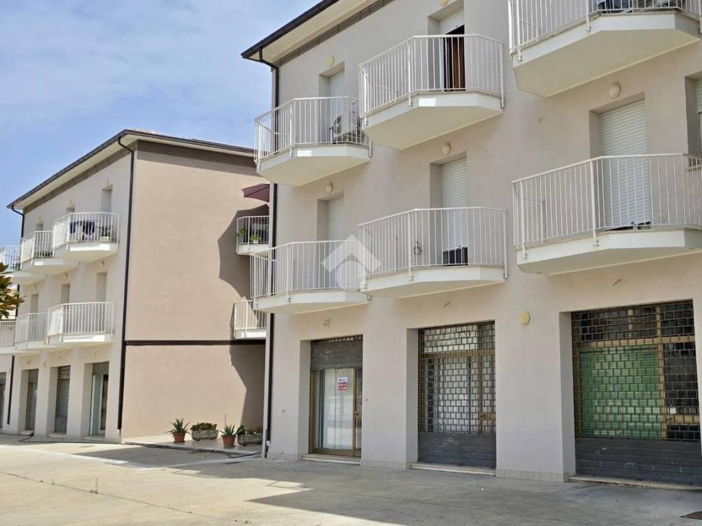 negozio in vendita a Notaresco