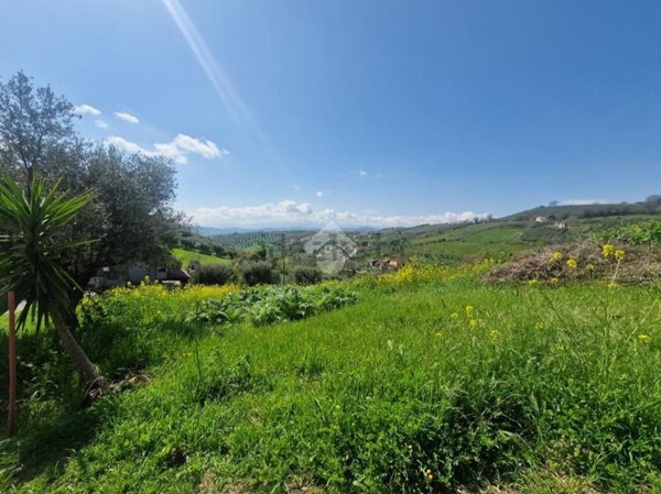 terreno edificabile in vendita a Notaresco