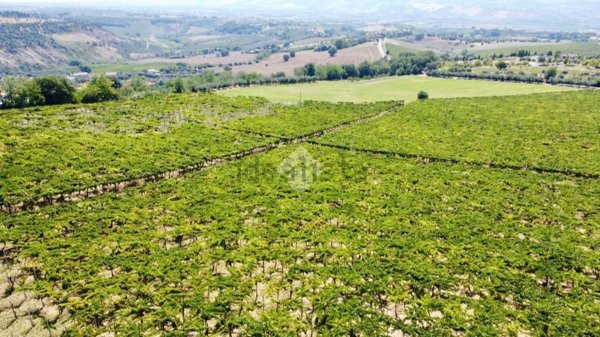 terreno agricolo in vendita a Notaresco
