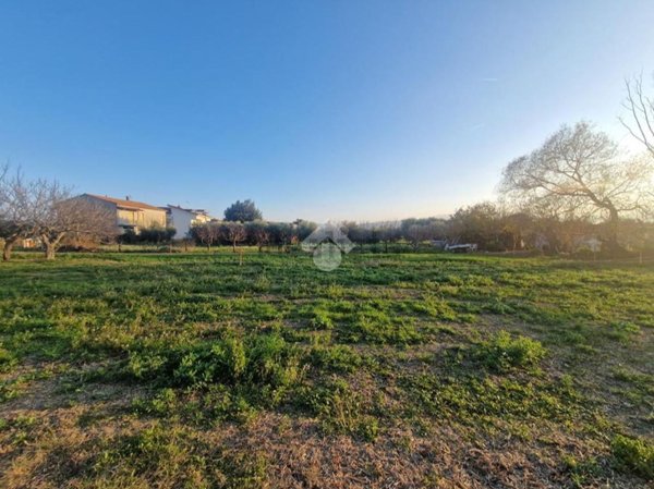 appartamento in vendita a Notaresco in zona Pianura Vomano