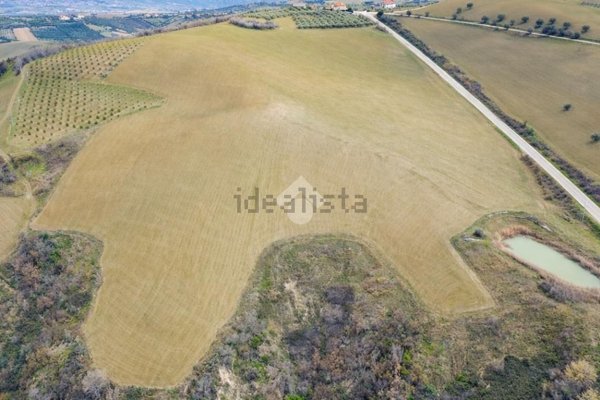 terreno agricolo in vendita a Notaresco