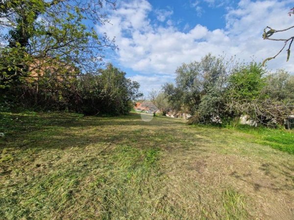 terreno edificabile in vendita a Notaresco